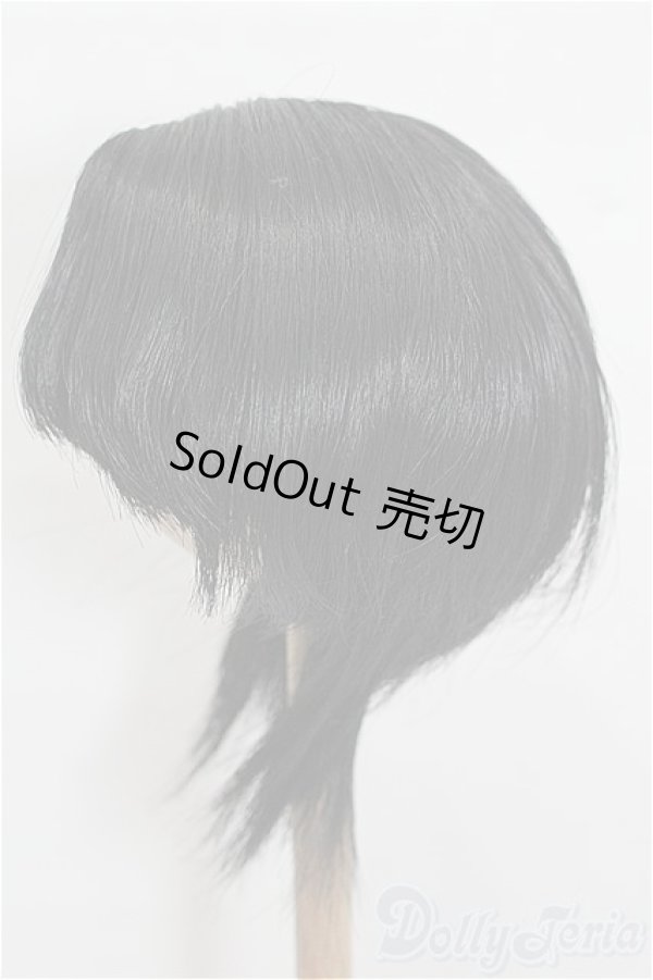 画像2: 8-9inch/ウィッグ S-26-02-15-199-TO-ZS (2)