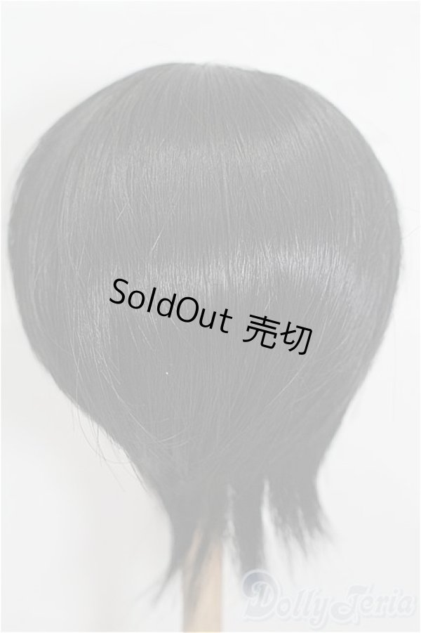 画像3: 8-9inch/ウィッグ S-26-02-15-199-TO-ZS (3)