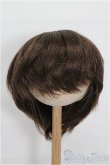 画像1: 9-10inch/ウィッグ S-26-02-15-196-TO-ZS (1)