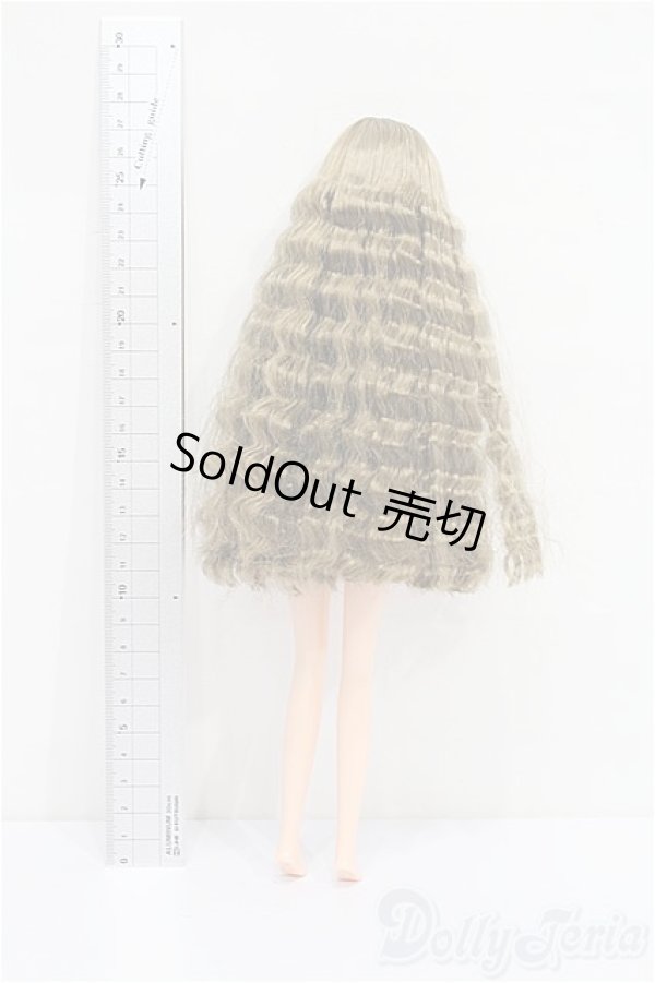 画像5: ジェニー/キャッスル：ジュディ（2019年日本橋オリジナルクリスマスモデル） S-26-02-15-127-TO-ZS (5)