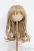 画像1: 9-10inch/ウィッグ S-26-02-15-247-TO-ZS (1)