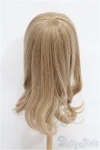 画像2: 9-10inch/ウィッグ S-26-02-15-247-TO-ZS (2)