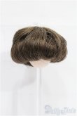 画像1: 5inch/ウィッグ S-26-02-15-231-TO-ZS (1)