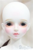 画像1: 【DOLK×MYOU DOLL】Snow Delia 2020 ver. Limited S-26-02-15-252-TO-ZS (1)
