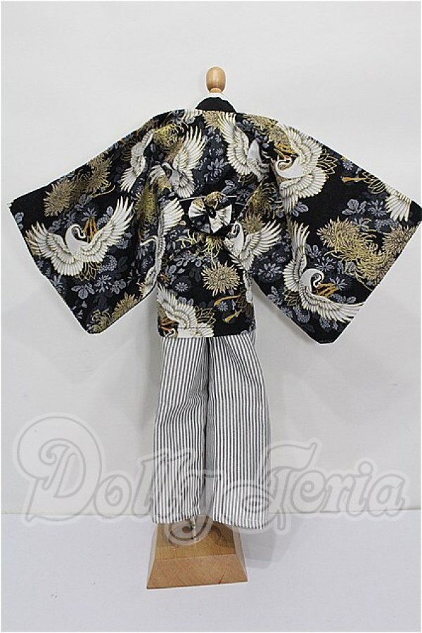 画像2: SD/OF:衣装セット S-26-03-01-311-TO-ZS (2)