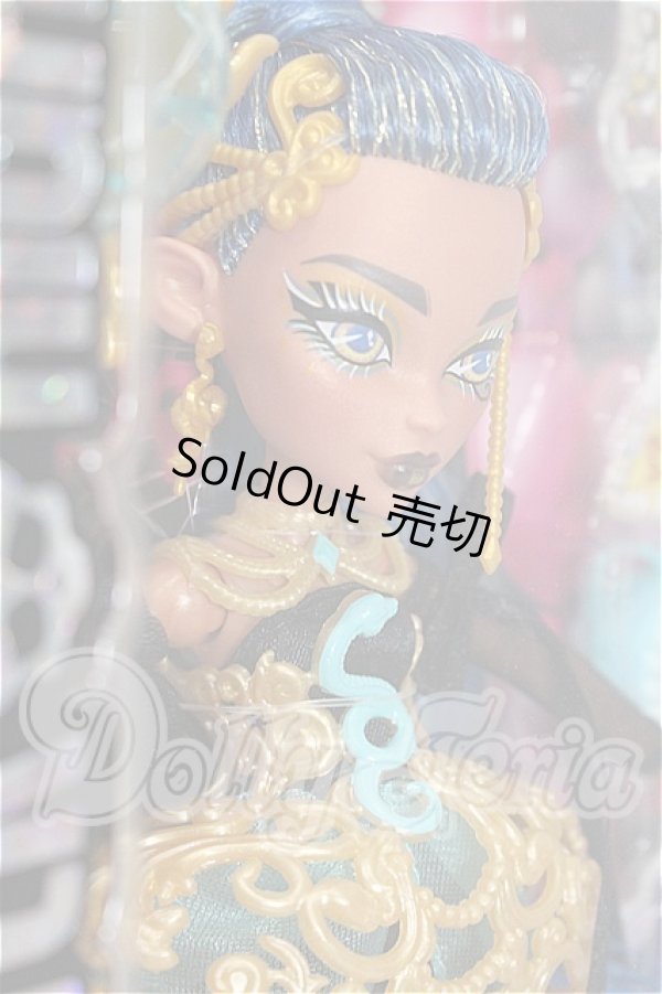 画像3: MONSTER HIGH モンスターハイ/SCARY SWEET BIRTHDAY S-26-02-22-282-TO-ZS (3)