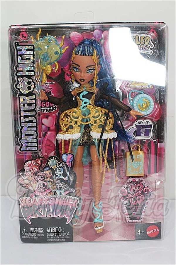 画像4: MONSTER HIGH モンスターハイ/SCARY SWEET BIRTHDAY S-26-02-22-282-TO-ZS (4)