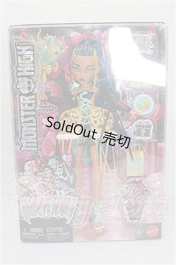 画像4: MONSTER HIGH モンスターハイ/SCARY SWEET BIRTHDAY S-26-02-22-282-TO-ZS (4)