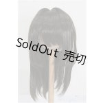 画像: ウィッグ/8〜9inch(なにぬねこみや様製) S-26-02-15-294-TO-ZS