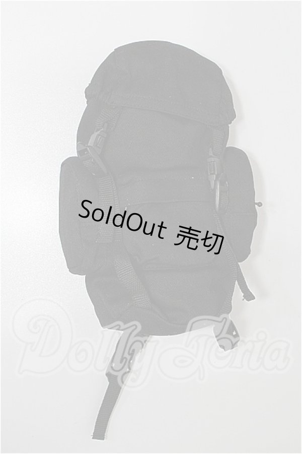 画像1: SD/OF:小物 S-26-02-22-194-TO-ZS (1)