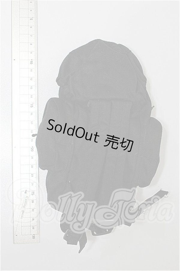 画像2: SD/OF:小物 S-26-02-22-194-TO-ZS (2)