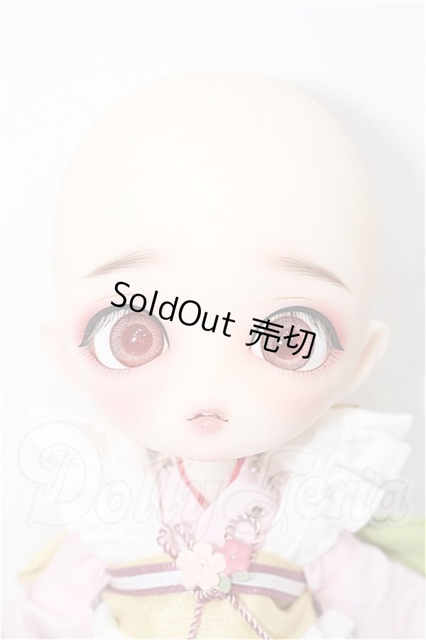 画像7: Harmonia bloom/ソメイヨシノ S-26-02-22-211-TO-ZS (7)