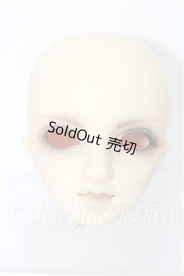 画像1: 教室Dヘッド S-26-02-22-232-TO-ZS (1)