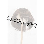 画像: 8-9inch/ウィッグ S-26-05-17-439-TO-ZS