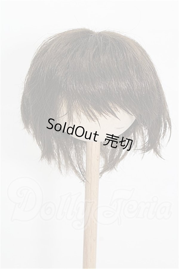 画像1: 8-9inch/ウィッグ S-26-02-22-334-TO-ZS (1)