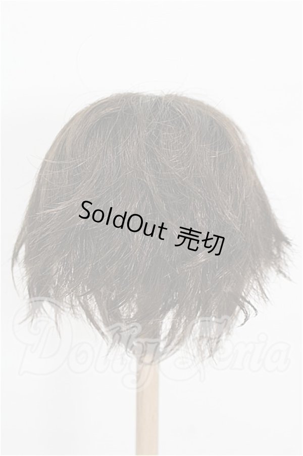 画像2: 8-9inch/ウィッグ S-26-02-22-334-TO-ZS (2)