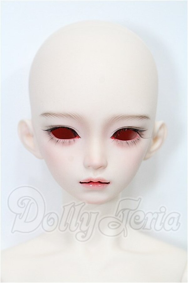 画像1: XAGADOLL/STORM S-26-03-01-201-TO-ZS (1)