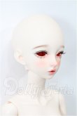 画像2: XAGA DOLL/Aurora S-26-03-01-203-TO-ZS (2)