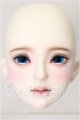 画像: UNIVERSAL DOLL/ドール用ヘッド S-26-03-01-112-TO-ZS