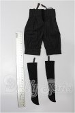 画像2: SD/OF:パンツ S-26-03-01-136-TO-ZS (2)