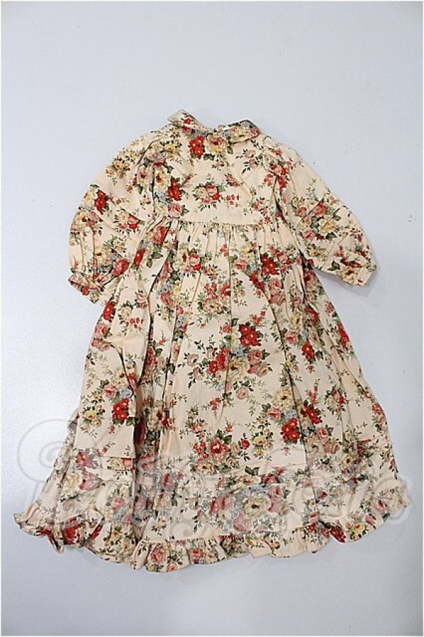 画像1: SD/OF:ワンピース S-26-03-01-133-TO-ZS (1)