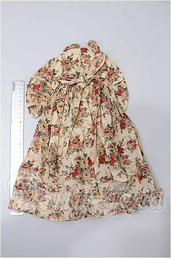 画像2: SD/OF:ワンピース S-26-03-01-133-TO-ZS (2)