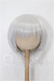 画像1: 8-9inch/ウィッグ S-26-03-01-195-TO-ZS (1)