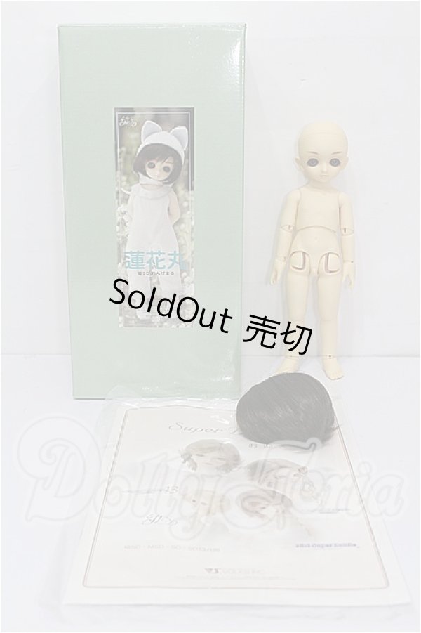 画像6: 幼SD/蓮華丸 S-26-03-01-287-YB-ZS (6)