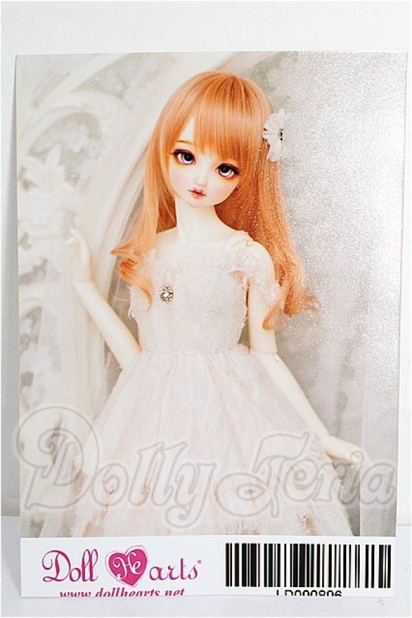 画像1: SD13G/OF:衣装セット S-26-03-08-126-TO-ZS (1)