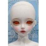 画像: LINA CHOUCHOU/Forever in Bloom,Iberis S-26-03-08-105-TO-ZS