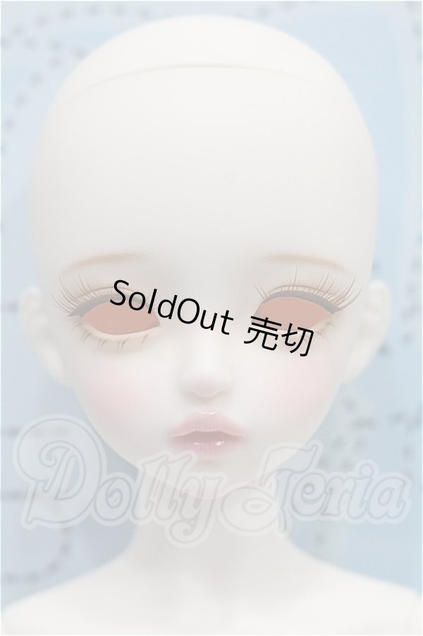 画像1: LINA CHOUCHOU/Forever in Bloom,Iberis S-26-07-12-531-TO-ZS (1)