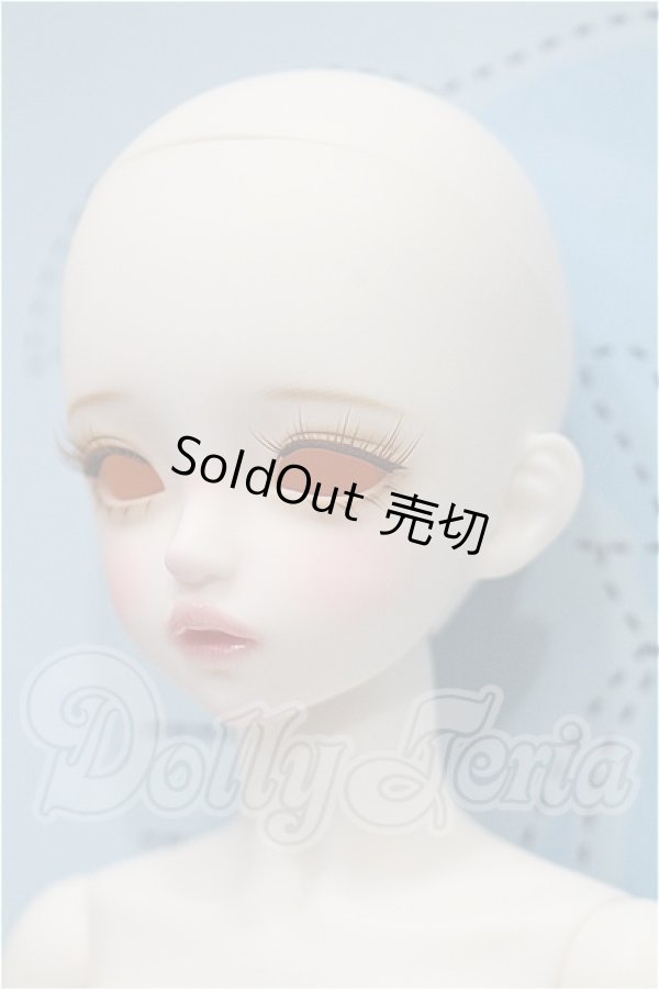画像3: LINA CHOUCHOU/Forever in Bloom,Iberis S-26-07-12-531-TO-ZS (3)