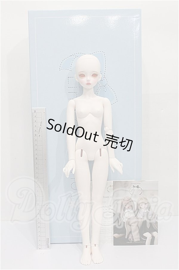 画像4: LINA CHOUCHOU/Forever in Bloom,Iberis S-26-07-12-531-TO-ZS (4)