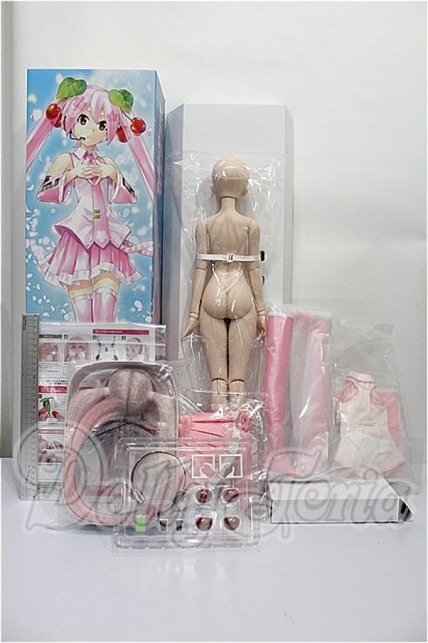 画像5: DD/桜ミク 2.0 S-26-03-08-101-TO-ZS (5)
