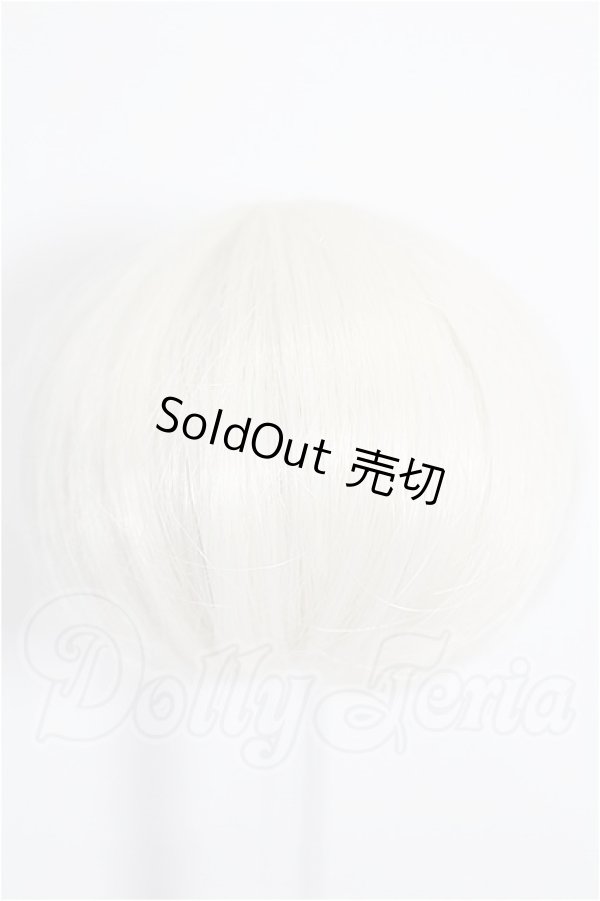 画像3: 5inch/ウィッグ S-26-03-08-250-TO-ZS (3)