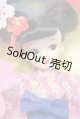 画像: リカちゃん/株主優待2024年 限定リカちゃん(レトロリカ) S-26-05-31-427-TO-ZS