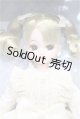 画像: リカちゃん株主優待2025年 限定リカちゃん S-26-05-31-426-TO-ZS