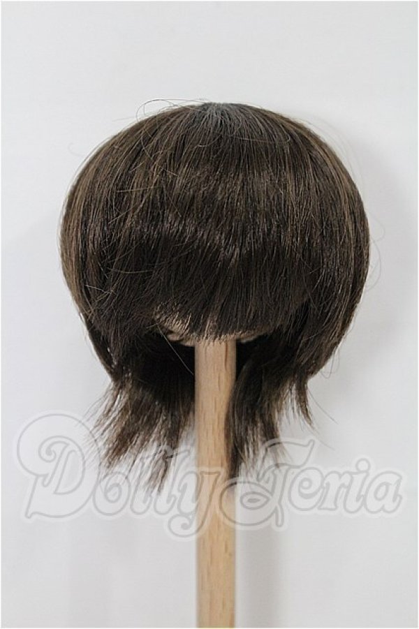 画像1: 6-7inch/ウィッグ S-26-03-15-189-YB-ZS (1)