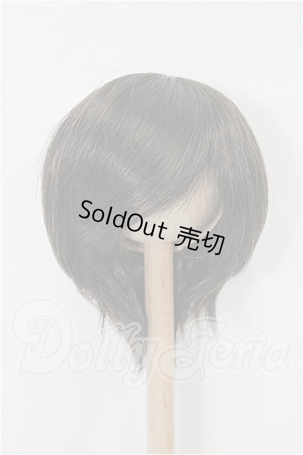 画像1: 6-7inch/ウィッグ S-26-03-15-188-YB-ZS (1)