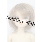 画像: 子天使/椿 S-26-03-15-104-TO-ZS