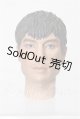画像: 1/6USアクションフィギュア/ヘッドのみ S-26-03-15-247-YB-ZS