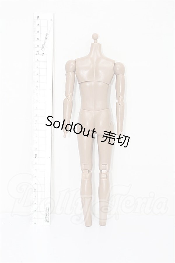 画像2: 1/6USアクションフィギュア/ボディのみ S-26-03-15-243-YB-ZS (2)