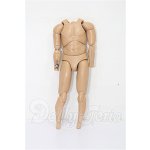 画像: 1/6USアクションフィギュア/ボディのみ S-26-03-15-244-TO-ZS