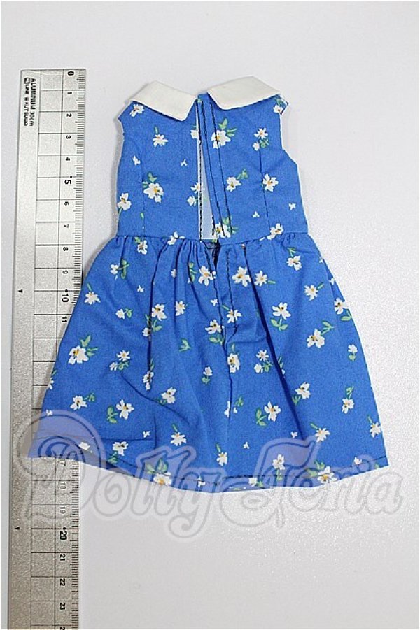 画像2: SDM＆MSD/OF:ワンピース S-26-03-22-166-TO-ZS (2)