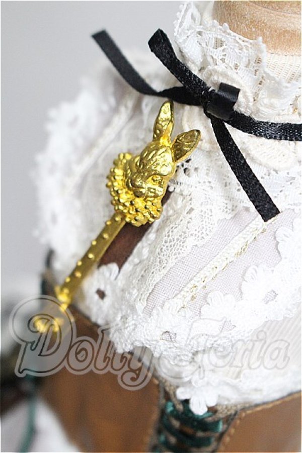 画像4: MDD/OF アリス物語(ことりあそび様製) S-26-03-22-134-TO-ZS (4)