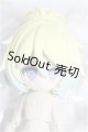 画像: 一万回の脱出計画/ヒョウ S-26-08-23-355-TO-ZS