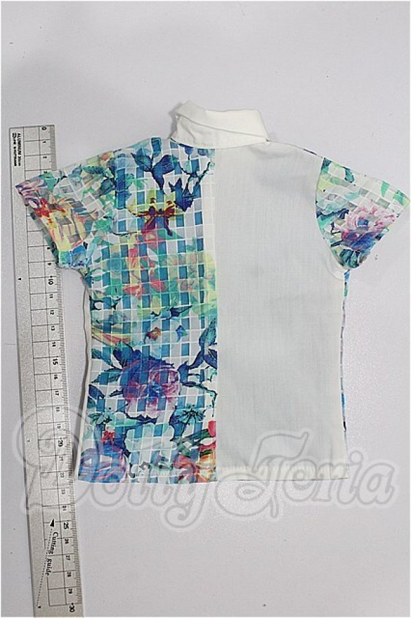 画像2: SD17B/OF:トップス S-26-03-29-133-TO-ZS (2)