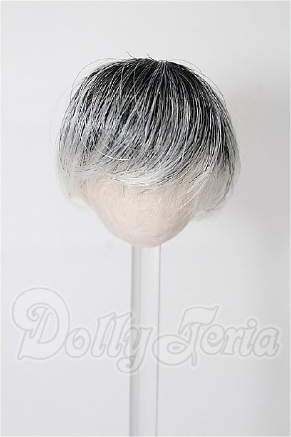 画像1: 4inch/ウィッグ S-26-03-29-237-TO-ZS (1)