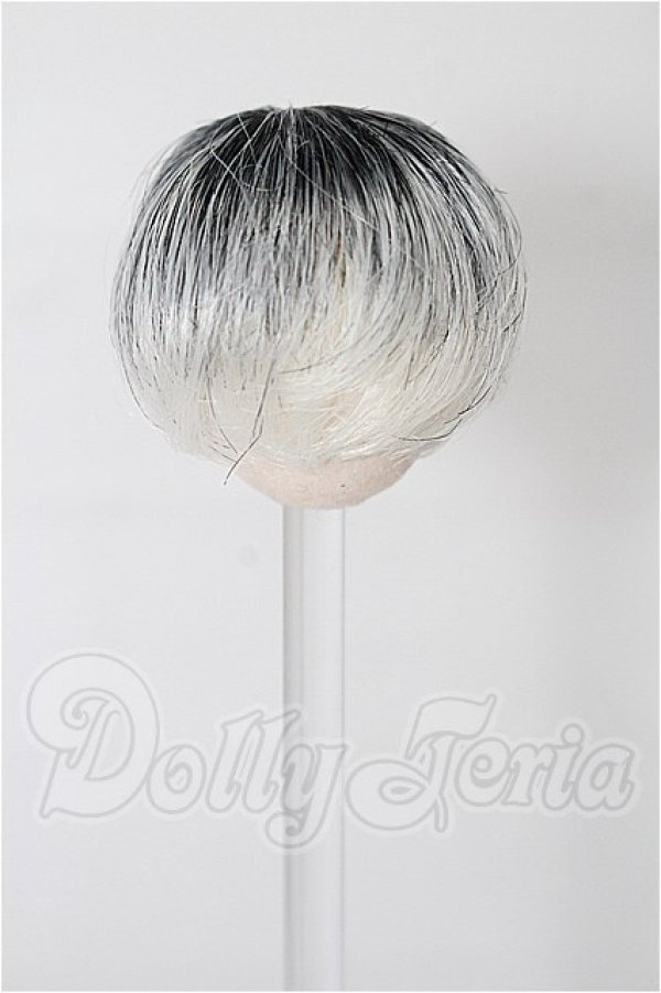 画像2: 4inch/ウィッグ S-26-03-29-237-TO-ZS (2)