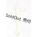 画像: ADOU＆ALU(アドゥー&アリュー) /龍と出会い夢ボディ S-26-03-29-219-TO-ZS